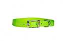 3/4-Inch X 14-Inch Lime Green Nylon Single Layer Dog Collar